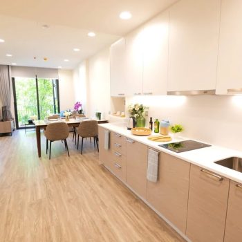 A private condo showing a modern kitchen and lounge area for Horizon clients